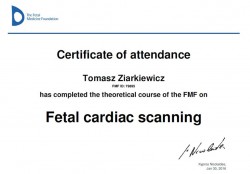 fmf-serce